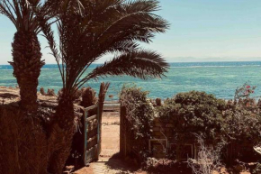 UBUD DAHAB Seafront house with a garden